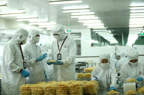 檢測服務為翼，助力山東即墨企業振翅高飛